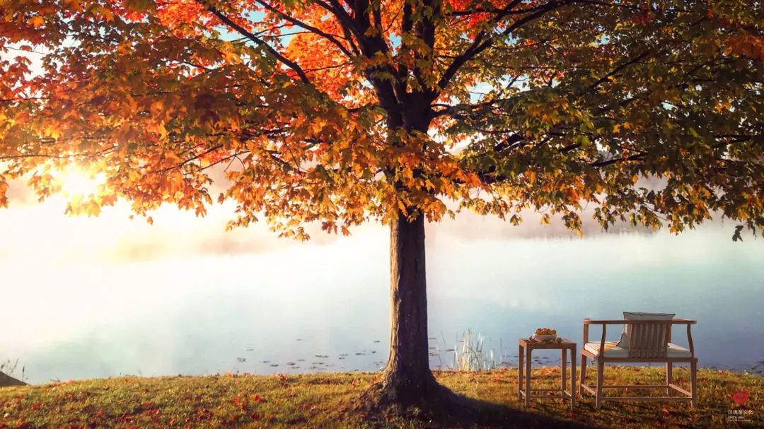 始于颜值,忠于坐感——感物,为久坐而生插图7 始于颜值,忠于坐感——感物,为久坐而生插图7