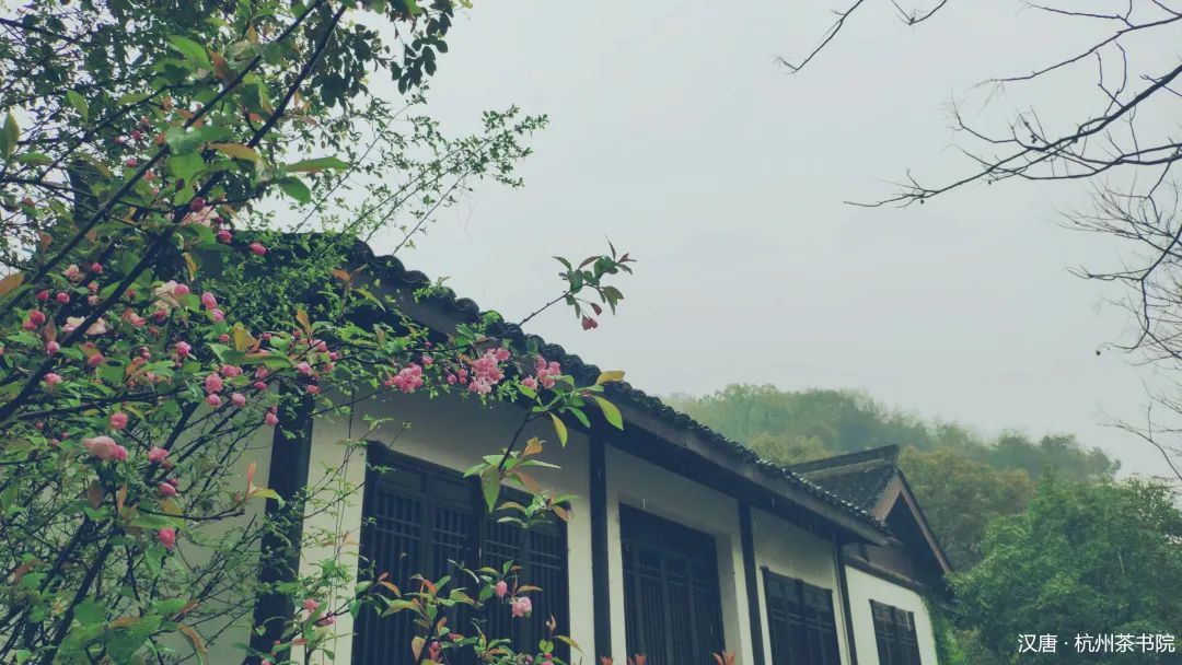 窥见中国院落一角插图4 窥见中国院落一角插图4