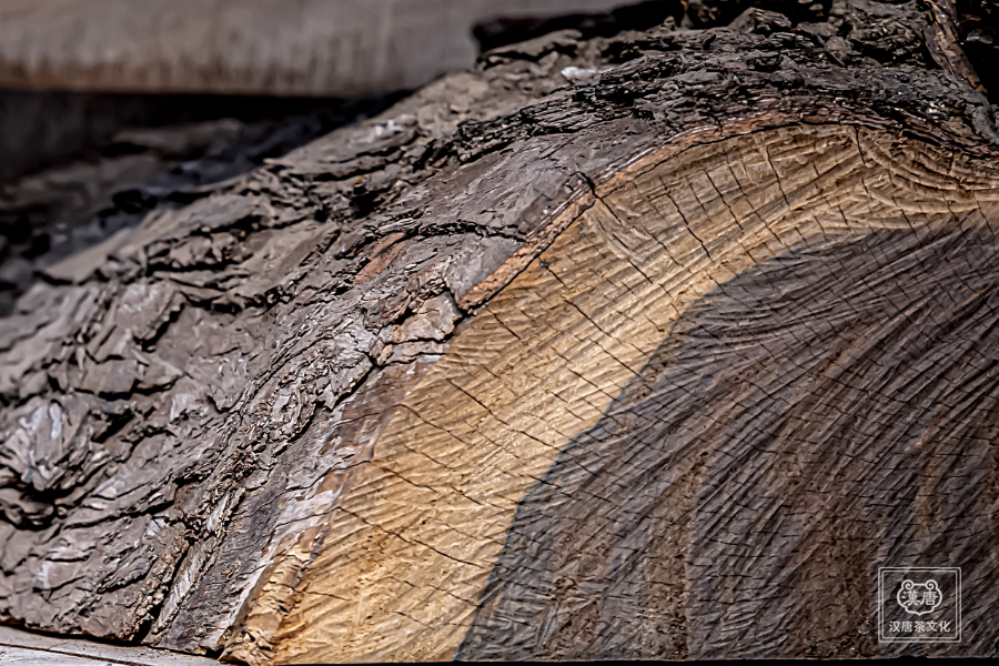 千色阅尽,我自独黑插图3 千色阅尽,我自独黑插图3