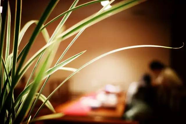 汉唐郑州店 | 凤凰茶城携手招商银行中秋雅集插图13 汉唐郑州店 | 凤凰茶城携手招商银行中秋雅集插图13