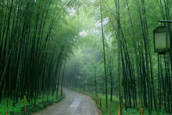 揭秘|探班汉唐宣传视频拍摄现场插图 揭秘|探班汉唐宣传视频拍摄现场插图