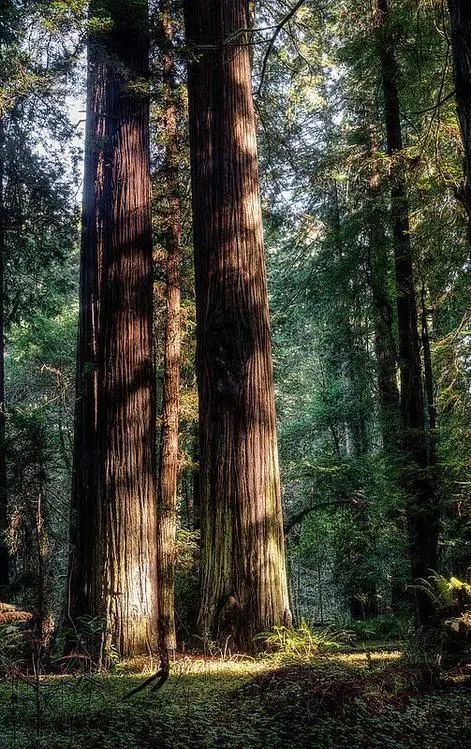 为不想正坐的人,量身设计一把躺坐小椅插图16 为不想正坐的人,量身设计一把躺坐小椅插图16