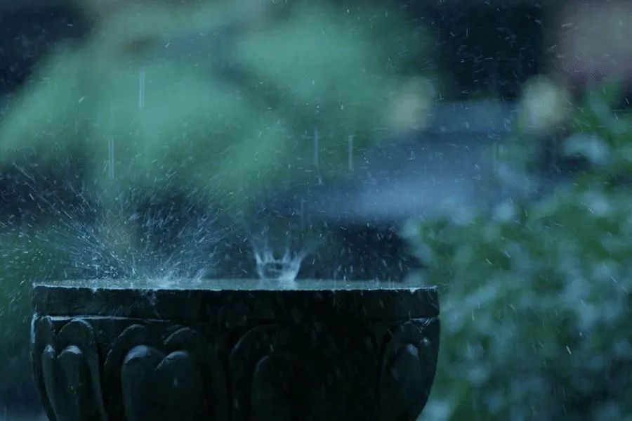 特别策划 | 茶室中国NO.2 风雨入室来插图3 特别策划 | 茶室中国NO.2 风雨入室来插图3