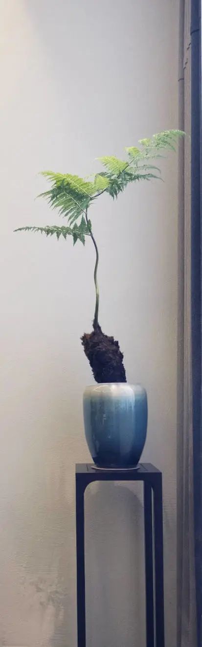 超级单品 | 花几，让家的气质随心而变插图11