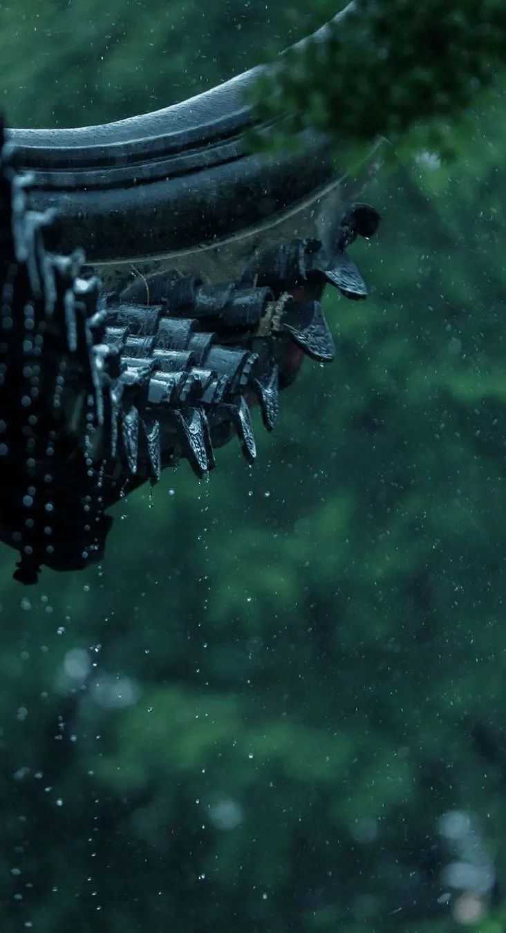 特别策划 | 茶室中国NO.2 风雨入室来插图7 特别策划 | 茶室中国NO.2 风雨入室来插图7