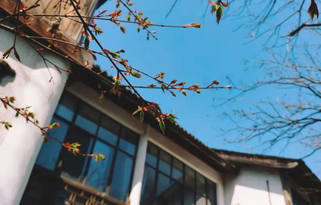 茶室中国NO.3 | 半室烟火闲，半壶红尘醉插图5