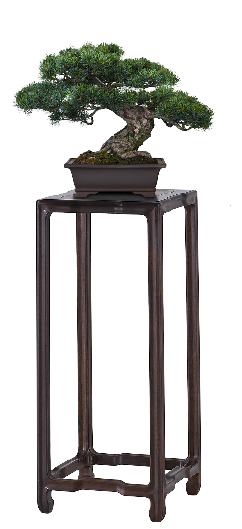 超级单品 | 花几，让家的气质随心而变插图1