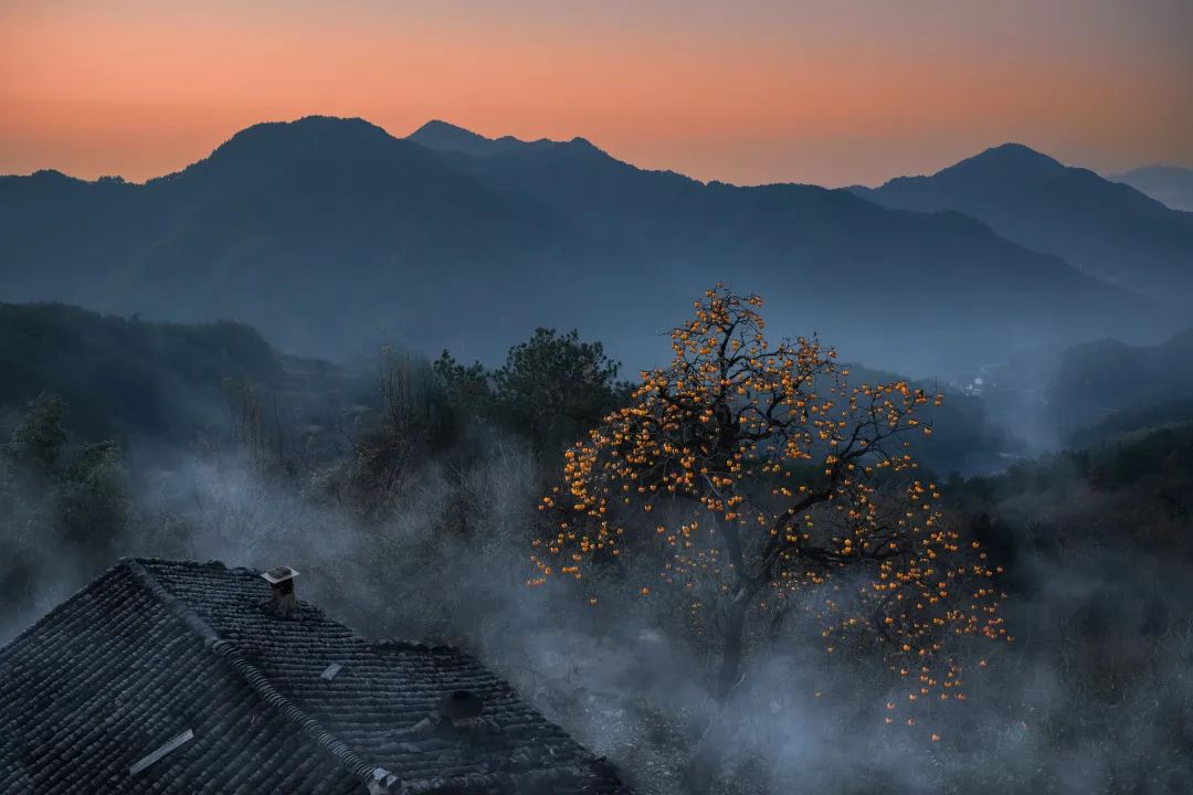 茶室中国NO.3 | 半室烟火闲，半壶红尘醉插图6