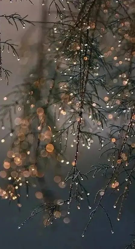 特别策划 | 茶室中国NO.2 风雨入室来插图8 特别策划 | 茶室中国NO.2 风雨入室来插图8